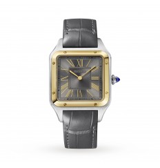 Cartier Santos-Dumont Grande Oro Amarillo Alta Autonomia Cuarzo W2SA0028
